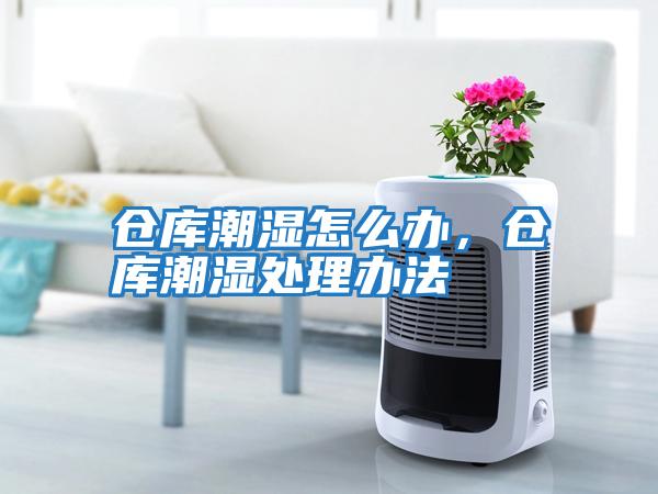 倉庫潮濕怎么辦，倉庫潮濕處理辦法