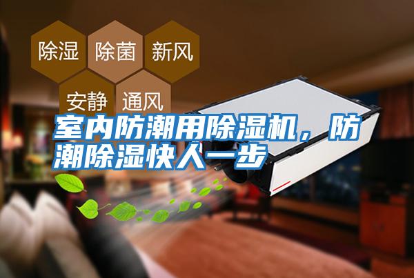 室內(nèi)防潮用除濕機，防潮除濕快人一步