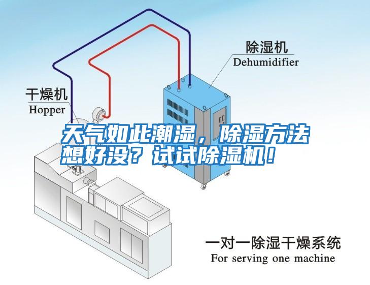 天氣如此潮濕，除濕方法想好沒？試試除濕機！