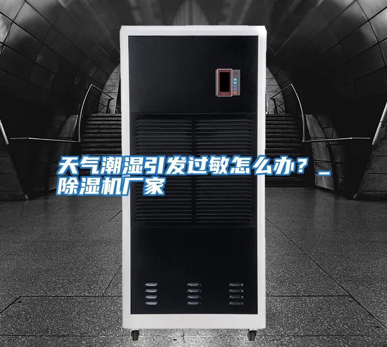 天氣潮濕引發(fā)過敏怎么辦?_除濕機廠家