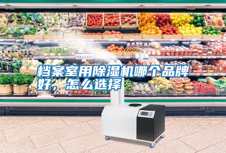 檔案室用除濕機(jī)哪個(gè)品牌好，怎么選擇