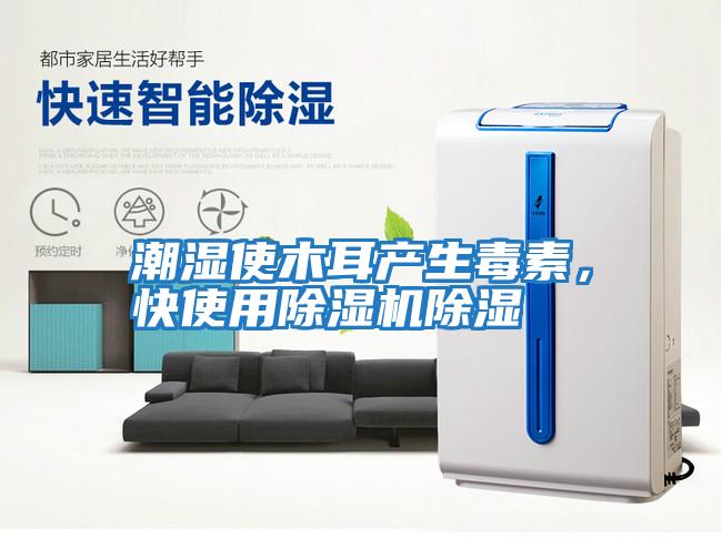 潮濕使木耳產生毒素，快使用除濕機除濕