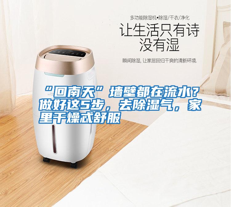 “回南天”墻壁都在流水？做好這5步，去除濕氣，家里干燥忒舒服