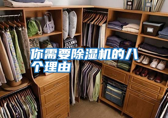 你需要除濕機(jī)的八個理由