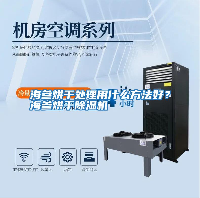 海參烘干處理用什么方法好？海參烘干除濕機