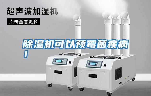 除濕機可以預霉菌疾??！