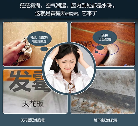 潮濕危害竟然這么大！