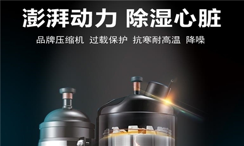 采菊東籬下，悠然見南山，金絲皇菊花的加工生產(chǎn)提高產(chǎn)能，升溫型烘干工業(yè)除濕機