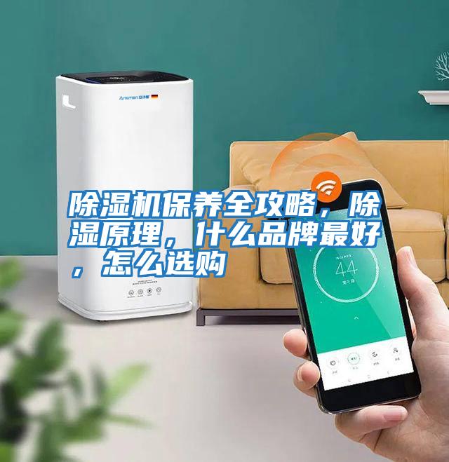 除濕機保養(yǎng)全攻略，除濕原理，什么品牌最好，怎么選購
