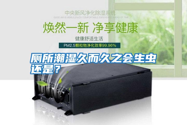 廁所潮濕久而久之會(huì)生蟲(chóng)還是？