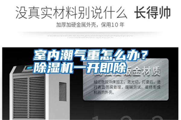 室內潮氣重怎么辦？除濕機一開即除