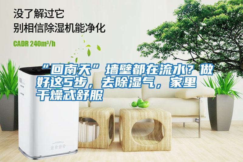 “回南天”墻壁都在流水？做好這5步，去除濕氣，家里干燥忒舒服
