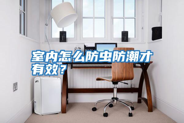室內怎么防蟲防潮才有效？