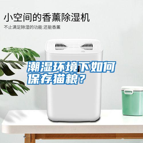 潮濕環境下如何保存貓糧？