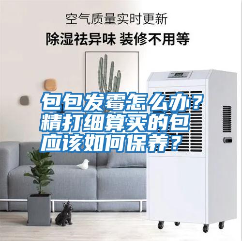 包包發霉怎么辦？精打細算買的包應該如何保養？