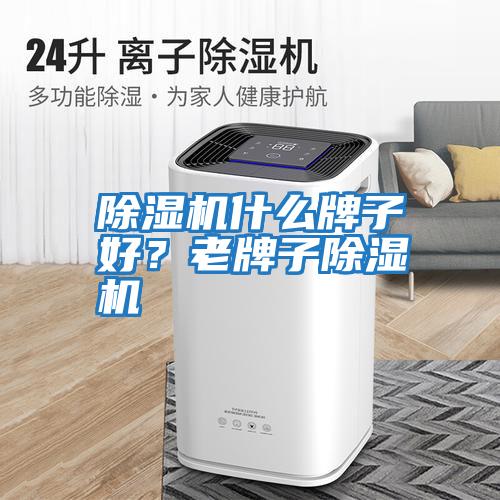 除濕機什么牌子好？老牌子除濕機