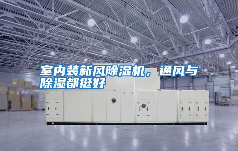 室內(nèi)裝新風除濕機，通風與除濕都挺好