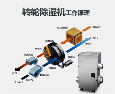潮濕危害真不小，用除濕機真見效
