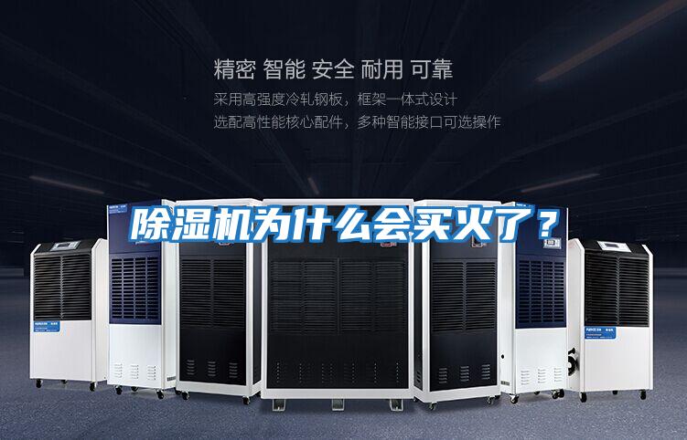 除濕機(jī)為什么會(huì)買(mǎi)火了？