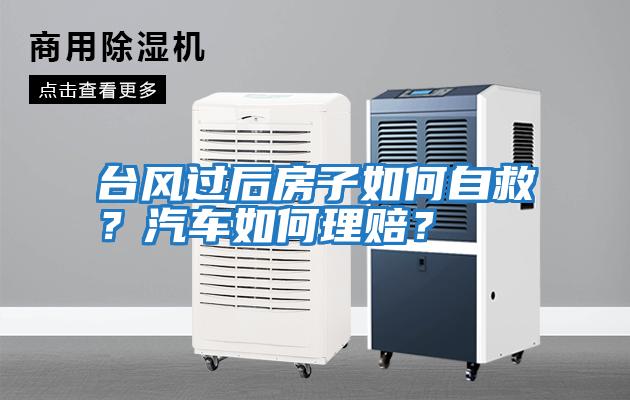 臺風(fēng)過后房子如何自救？汽車如何理賠？
