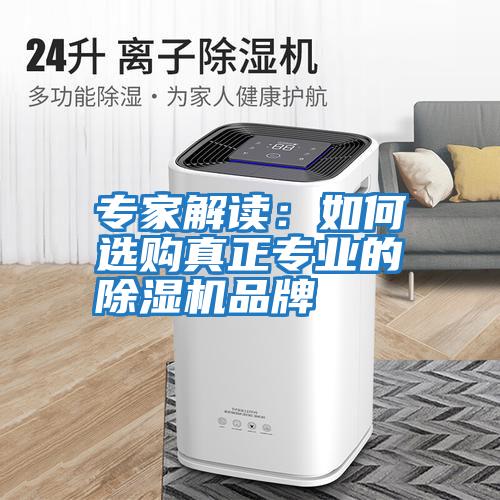 專家解讀：如何選購真正專業(yè)的除濕機(jī)品牌