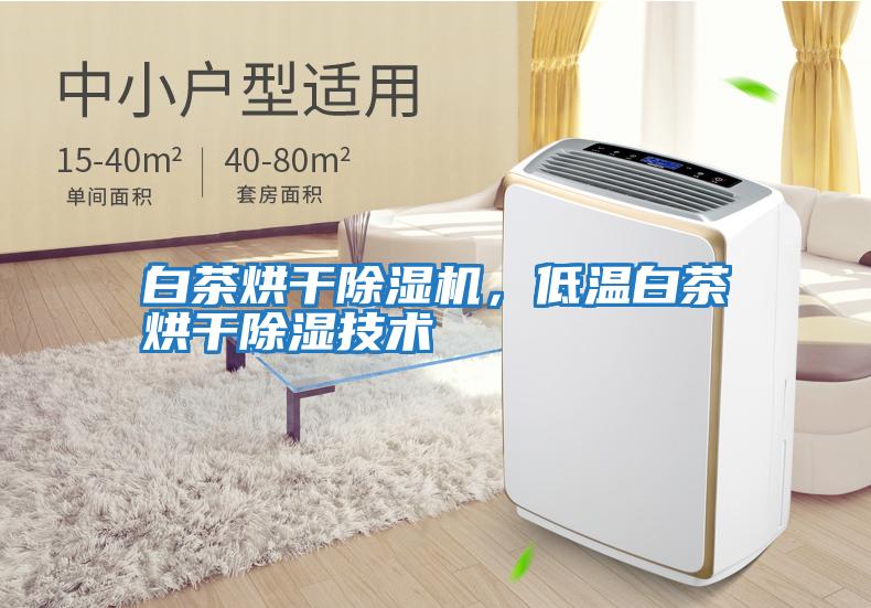 白茶烘干除濕機，低溫白茶烘干除濕技術(shù)