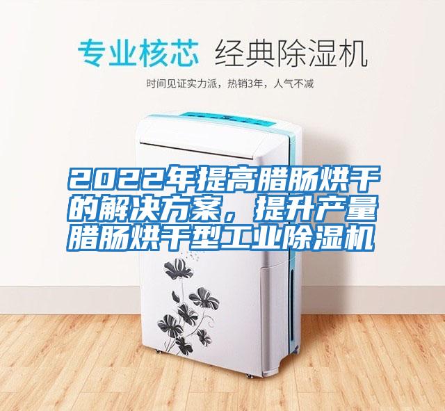 2022年提高臘腸烘干的解決方案，提升產(chǎn)量臘腸烘干型工業(yè)除濕機(jī)