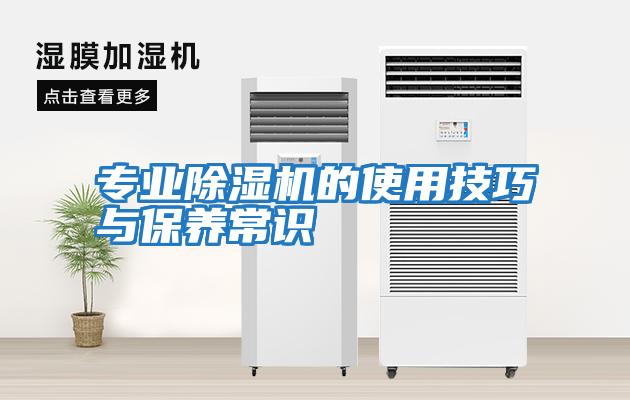 專業(yè)除濕機(jī)的使用技巧與保養(yǎng)常識