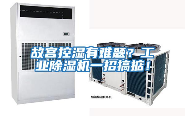 故宮控濕有難題？工業(yè)除濕機一招搞掂！