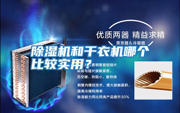除濕機和干衣機哪個比較實用？