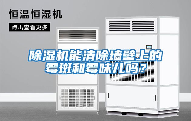 除濕機能清除墻壁上的霉斑和霉味兒嗎？