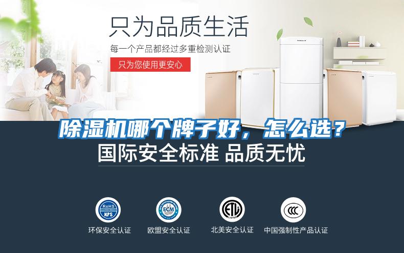 除濕機(jī)哪個牌子好，怎么選？
