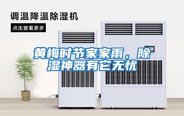 黃梅時(shí)節(jié)家家雨，除濕神器有它無(wú)憂