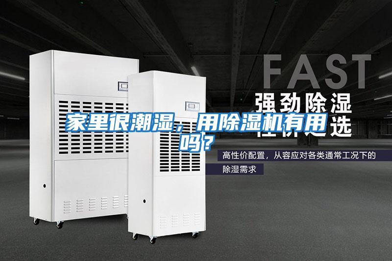 家里很潮濕，用除濕機有用嗎？