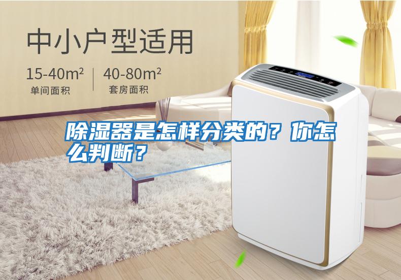 除濕器是怎樣分類的？你怎么判斷？
