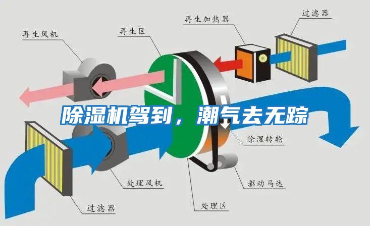 除濕機(jī)駕到，潮氣去無蹤