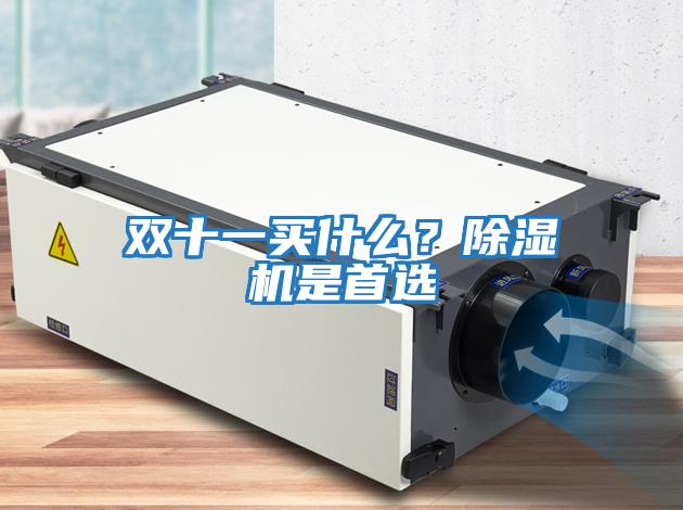 雙十一買什么？除濕機(jī)是首選