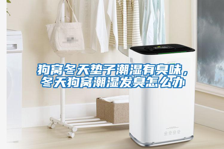 狗窩冬天墊子潮濕有臭味，冬天狗窩潮濕發臭怎么辦