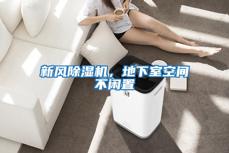新風(fēng)除濕機(jī)，地下室空間不閑置
