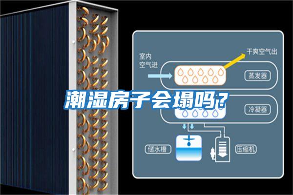潮濕房子會(huì)塌嗎？