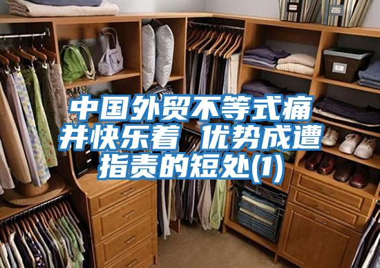 中國外貿(mào)不等式痛并快樂著 優(yōu)勢成遭指責的短處(1)