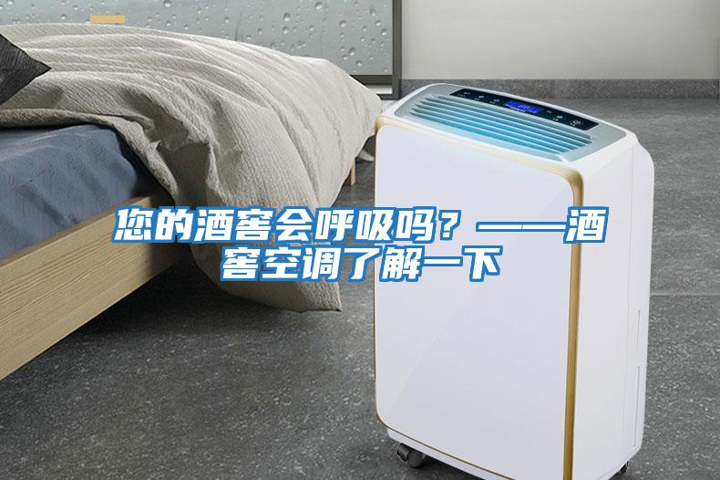 您的酒窖會呼吸嗎?——酒窖空調了解一下