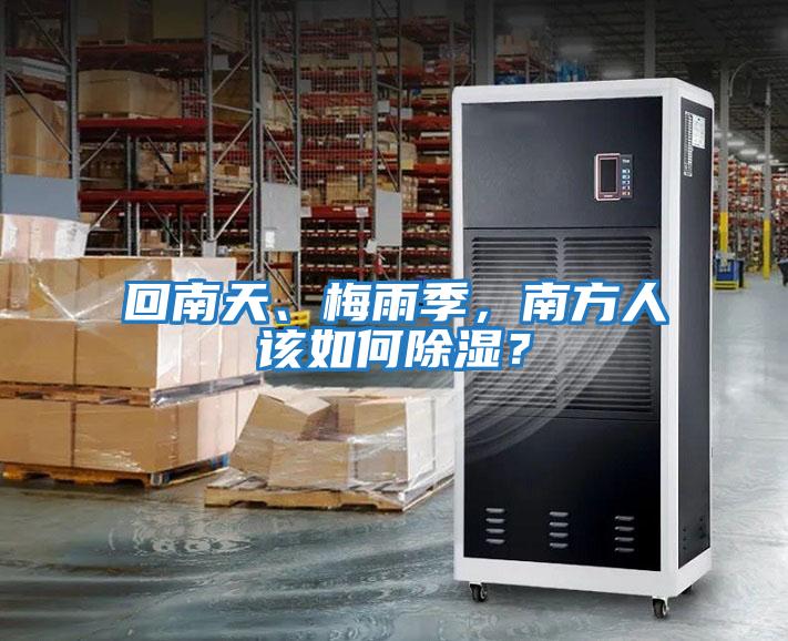 回南天、梅雨季，南方人該如何除濕？