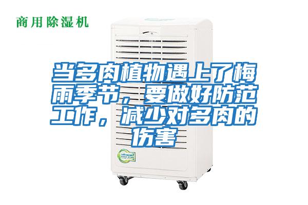 當(dāng)多肉植物遇上了梅雨季節(jié)，要做好防范工作，減少對(duì)多肉的傷害