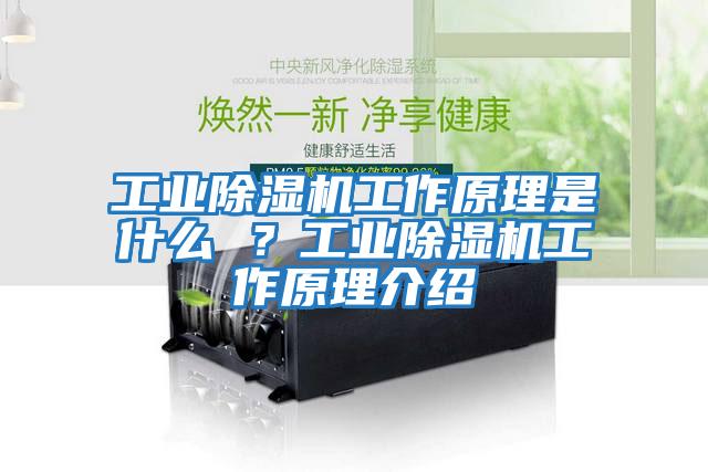 工業除濕機工作原理是什么 ？工業除濕機工作原理介紹