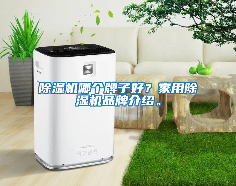 除濕機哪個牌子好？家用除濕機品牌介紹。