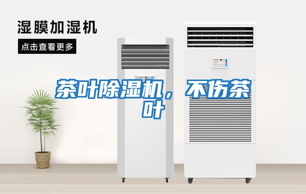 茶葉除濕機(jī)，不傷茶葉