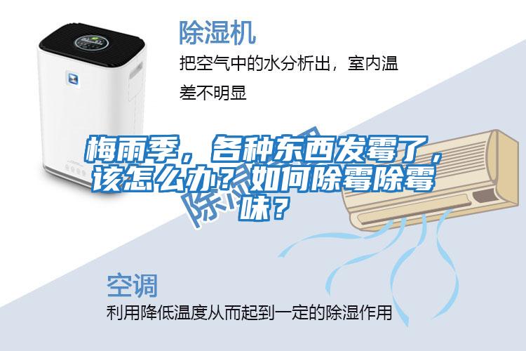 梅雨季，各種東西發(fā)霉了，該怎么辦？如何除霉除霉味？