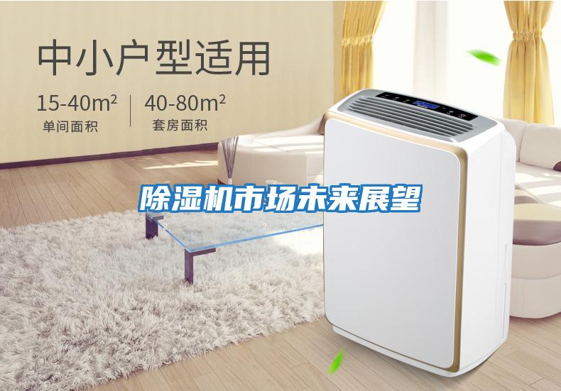 除濕機(jī)市場未來展望