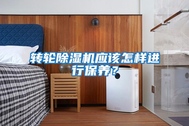 轉輪除濕機應該怎樣進行保養？
